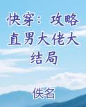 快穿：攻略直男大佬大结局免费阅读笔趣阁