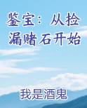鉴宝：从捡漏赌石开始