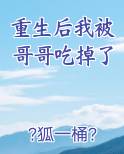 重生后我被哥哥吃掉了
