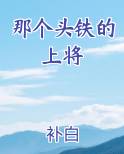 那个头铁的上将
