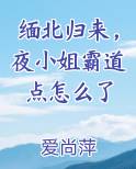 缅北归来夜小姐霸道点怎么了小说txt