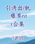 引诱出/轨:爆草ntr合集