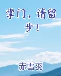 掌门，请留步！