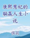 康熙慧妃的躺赢人生小说