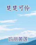 楚楚可怜小说5200