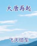 大唐再起