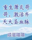 重生萧炎哥哥，激活齐天大圣血脉