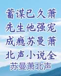 蓄谋已久萧先生他强宠成瘾苏曼萧北声小说全集