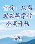 官途：从帮助领导掌控全局开始