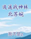 逍遥战神林北苏婉小说下载