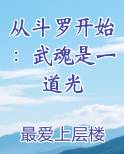 从斗罗开始：武魂是一道光