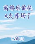 离婚后偏执A火葬场了在线阅读