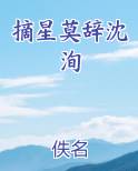 摘星莫辞沈洵