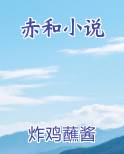 赤和小说