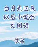 白月光回来以后小说全文阅读