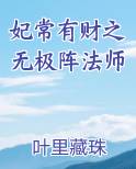 妃常有财之无极阵法师