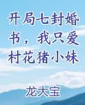 开局七封婚书，我只爱村花猪小妹