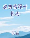 虐恋情深叶长安