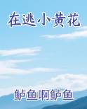 在逃小黄花