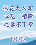 探花大人掌心宠，糟糠之妻不下堂