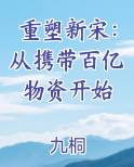 重塑新宋：从携带百亿物资开始