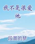 我不是很爱他