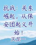 抗战：关东崛起，从保安团起义开始！