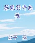 苏乘羽许南枝