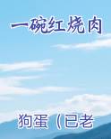 一碗红烧肉