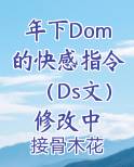 年下Dom的快感指令（Ds文）修改中