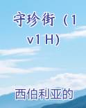 守珍街（1v1 H）