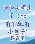 爹爹去哪儿了（np.有官配.有小包子）