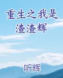 重生之我是渣渣辉