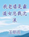 我老婆是霸道女总裁沈浪