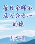 落日余晖不及万分之一的你
