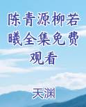 陈青源柳若曦全集免费观看