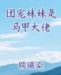 团宠妹妹是马甲大佬