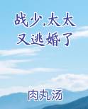 战少,太太又逃婚了