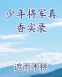 少年将军真香实录