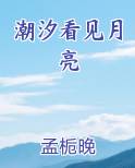 潮汐看见月亮