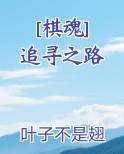 [棋魂] 追寻之路