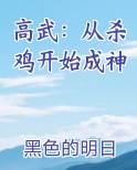 高武：从杀鸡开始成神
